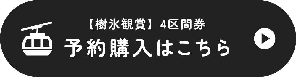 予約購入はこちら