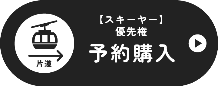 スキーヤー 予約購入